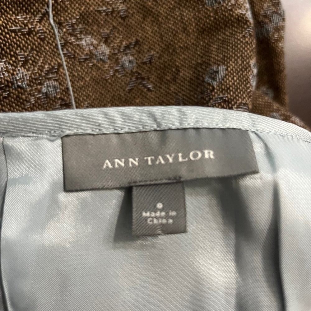 Ann Taylor skirt